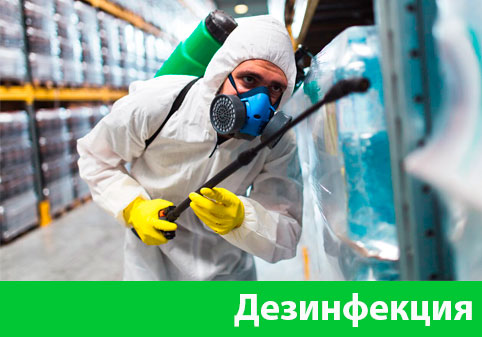 Дезинфекция в городе Ставрополь