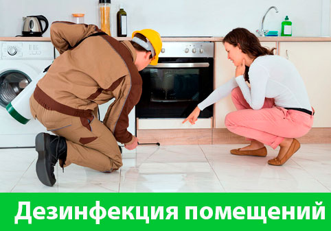 Дезинфекция офисов от коронавируса в городе Ставрополь