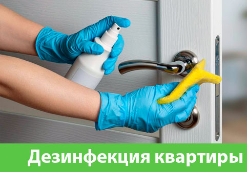 Дезинфекция квартиры в городе Ставрополь