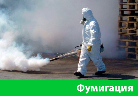 Фумигация в городе Ставрополь