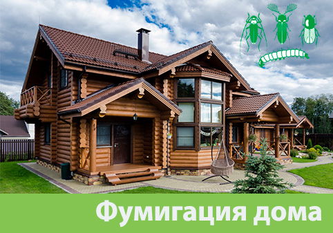 Преимущества обработки газом в городе Ставрополь