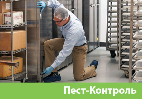 Пэст-Контроль в городе Ставрополь