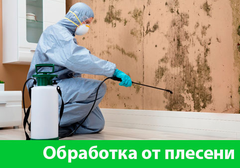 Обработка от плесени в городе Ставрополь