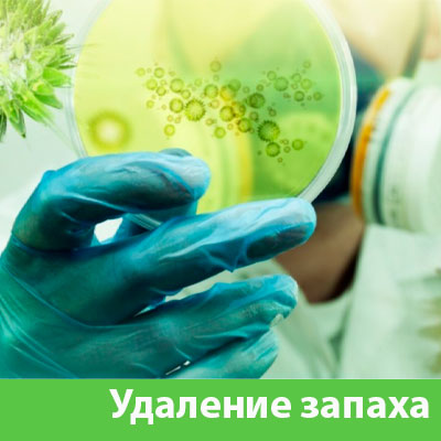 Удаление запахов в Ставрополе