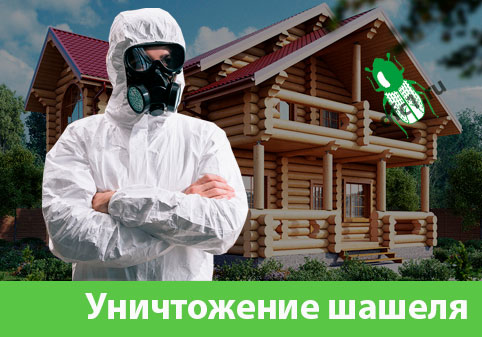 Уничтожение шашеля и личинок в Ставрополе