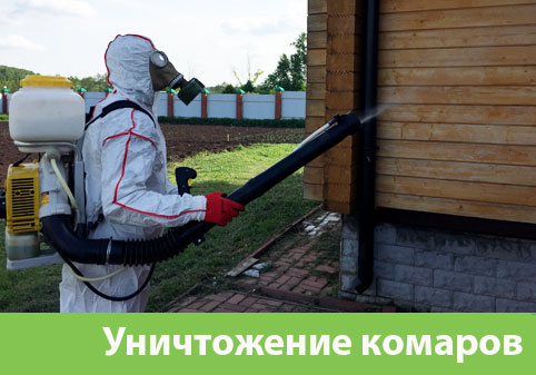 Уничтожение комаров в городе Ставрополь